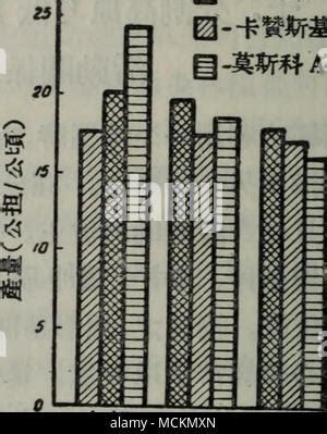 代理手游加盟選擇與《百球大師H5》計算機(jī)技術(shù)培訓(xùn)解析